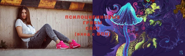 прущая мука Алзамай