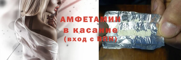 шишки Абаза