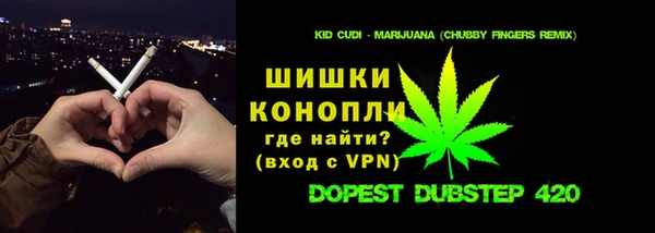 шишки Абаза