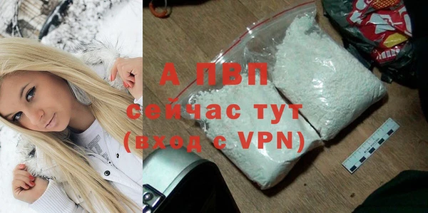шишки Абаза