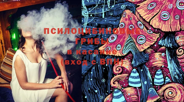 шишки Абаза
