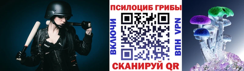 где купить наркоту  Домодедово  Галлюциногенные грибы прущие грибы 